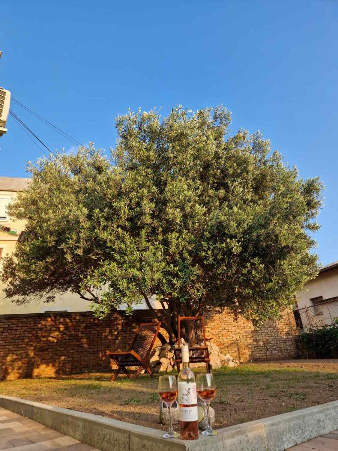Apartmani Studio Apartmani Senjska Maslina Senj  Eksteriør bilde