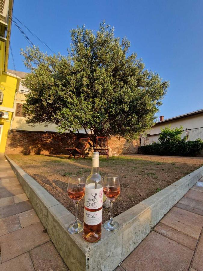 Apartmani Studio Apartmani Senjska Maslina Senj  Eksteriør bilde