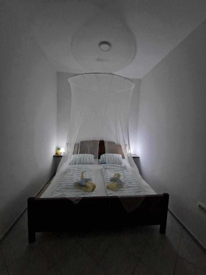 Apartmani Studio Apartmani Senjska Maslina Senj  Eksteriør bilde